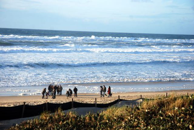 Biscarrosse Plage en hiver