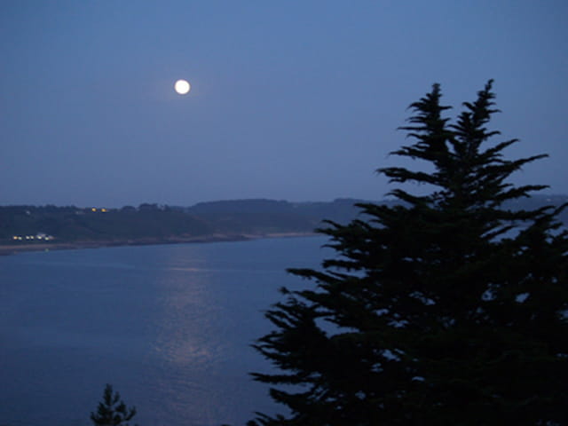 Bleu de la nuit