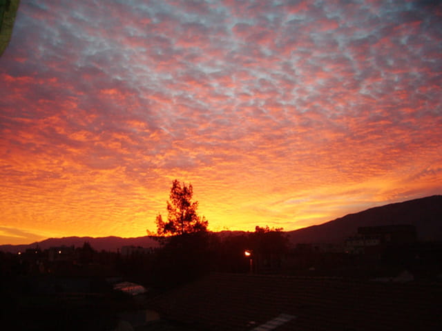 Blida