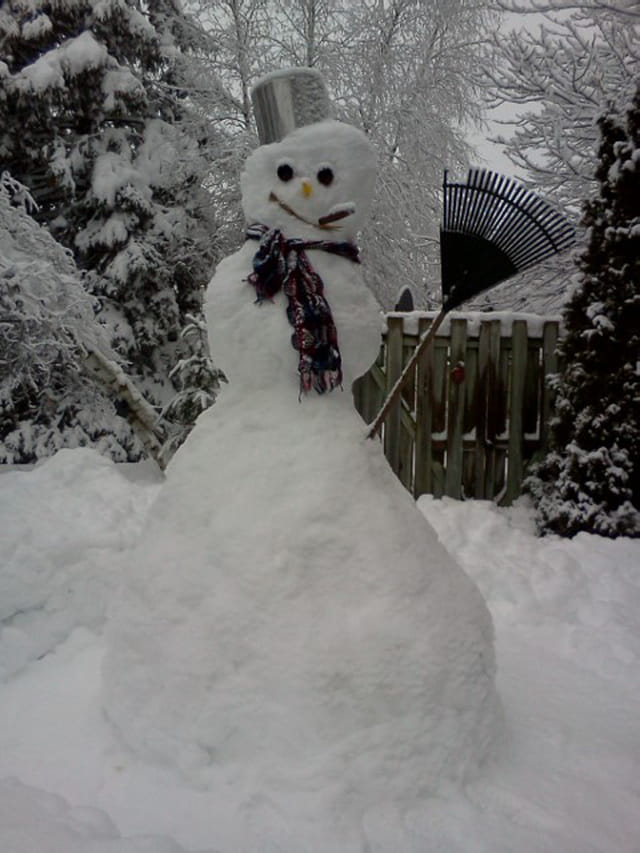 Bonhomme, bonhomme de neige...