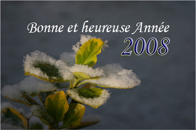 Bonne Année