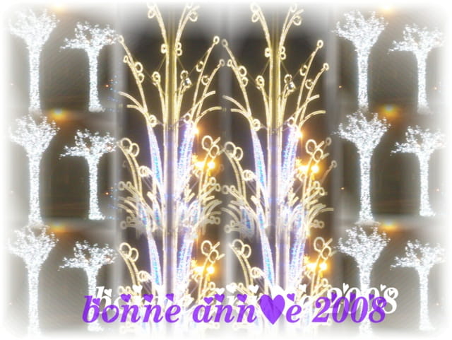 Bonne année 2008