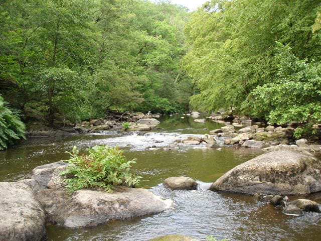 Bord de glane 6