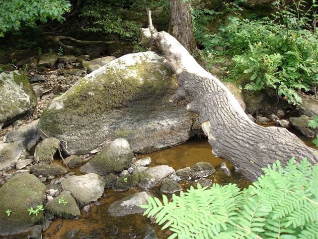 Bord de glane 8