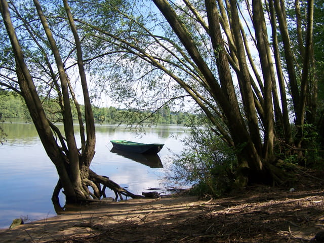 Bords de Loire
