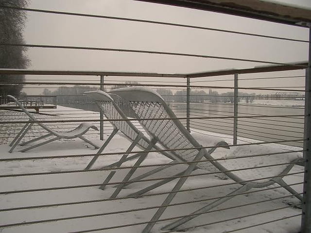 Bords de Loire sous la Neige