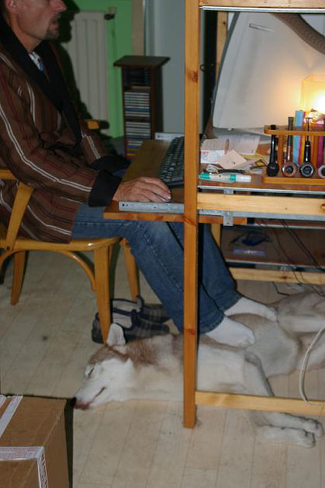 Bruce avec Papa