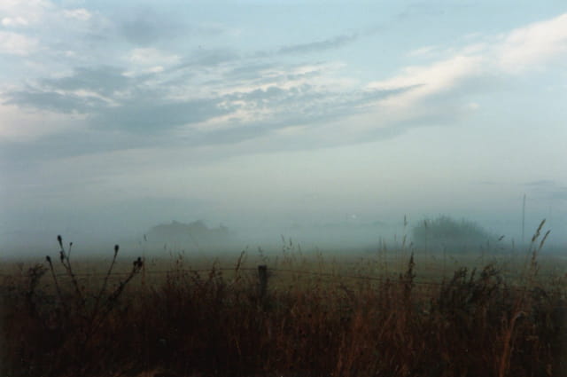Brume au petit matin
