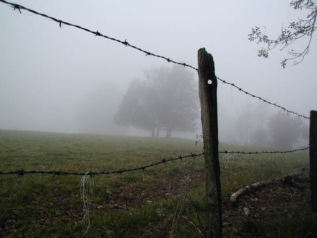 Brume au pied du premier plateau