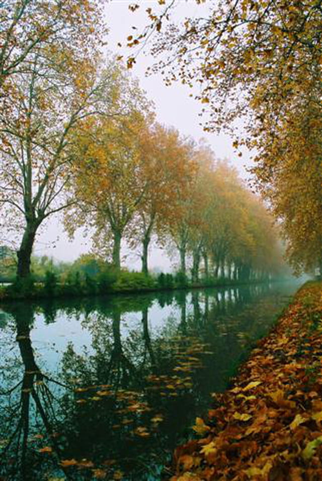Brume automnale