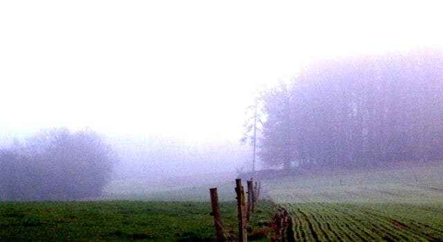 Brume de Normandie