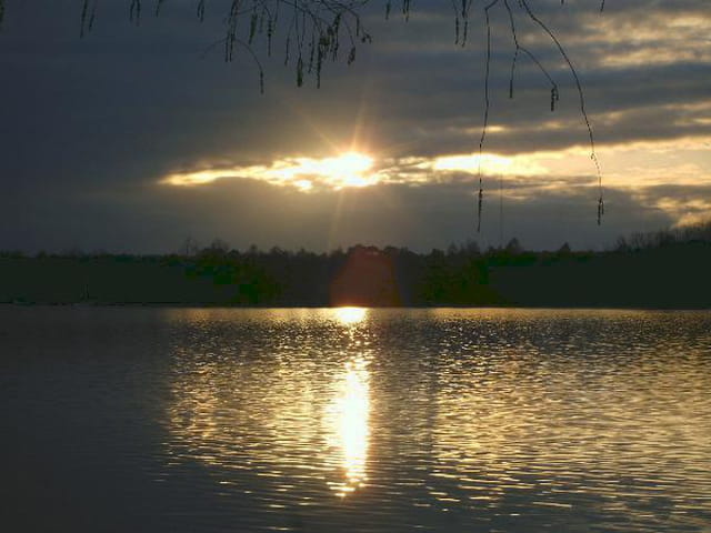 Buena noche