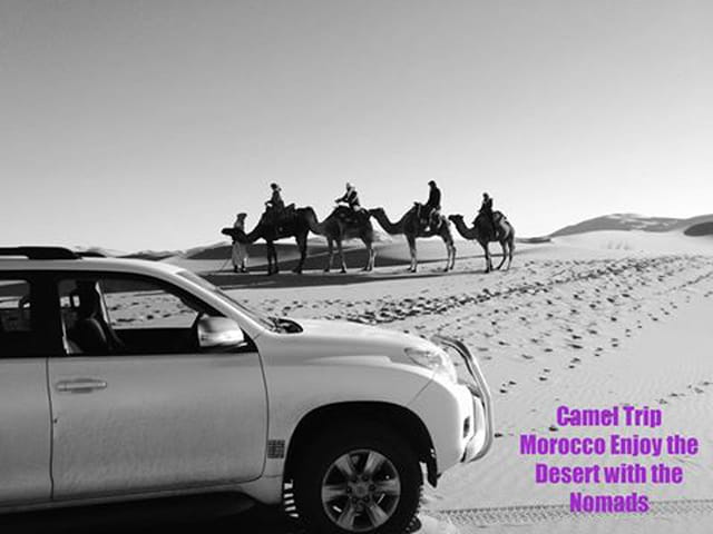 Camel Trip Morocco