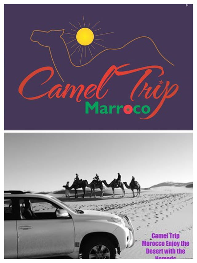 CAMEL TRIP MOROCCO