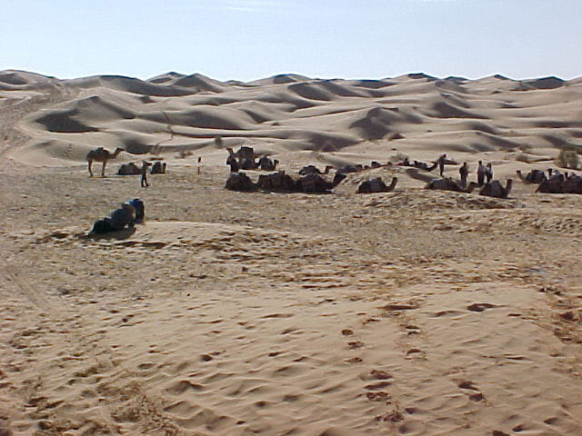 Caravane dans le désert