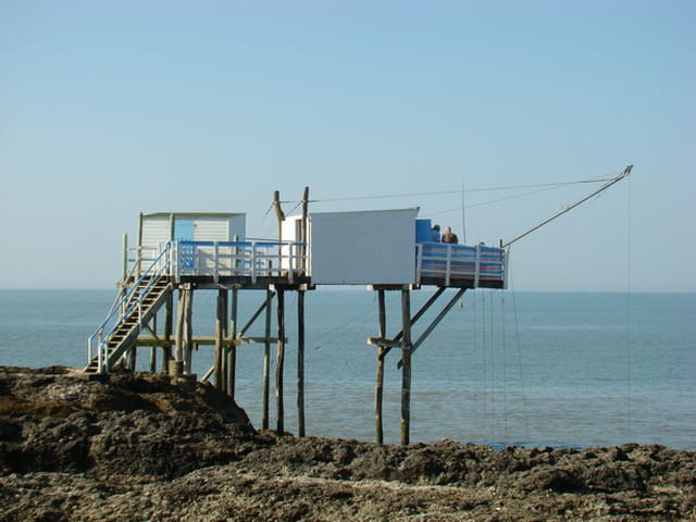 Carrelets