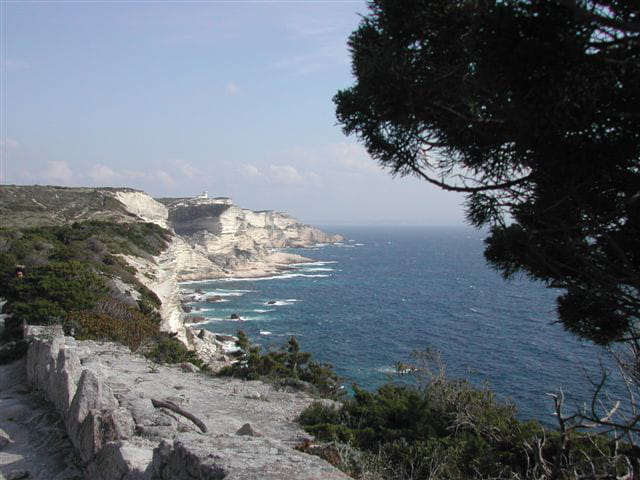 Carte postale