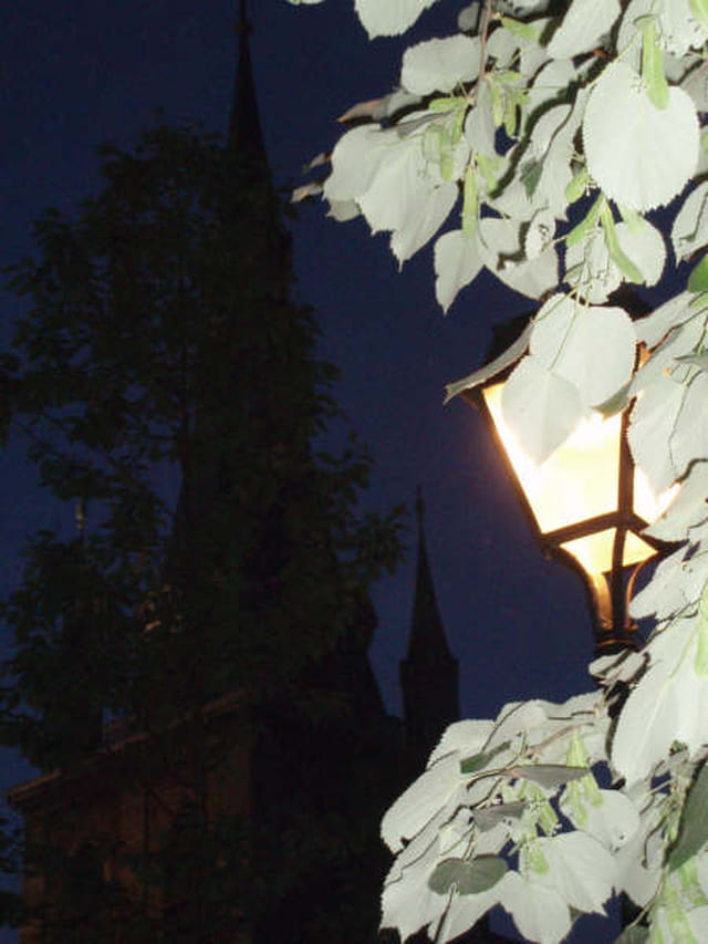 Cathédrale à la tombée de la nuit
