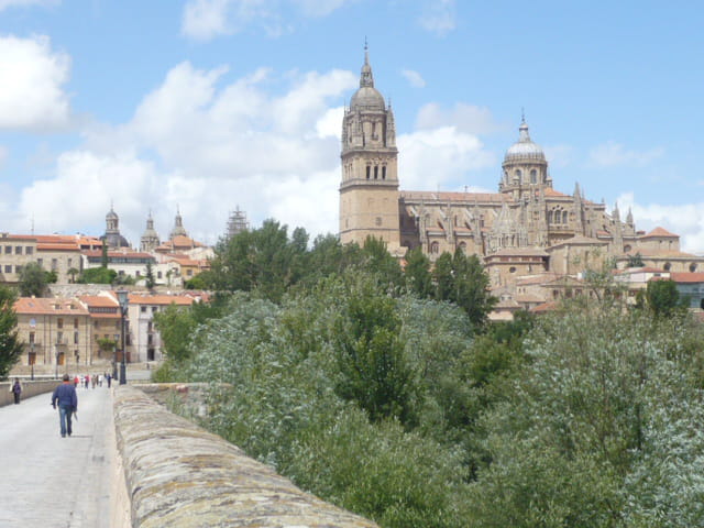 Cathédrale de Salamanque