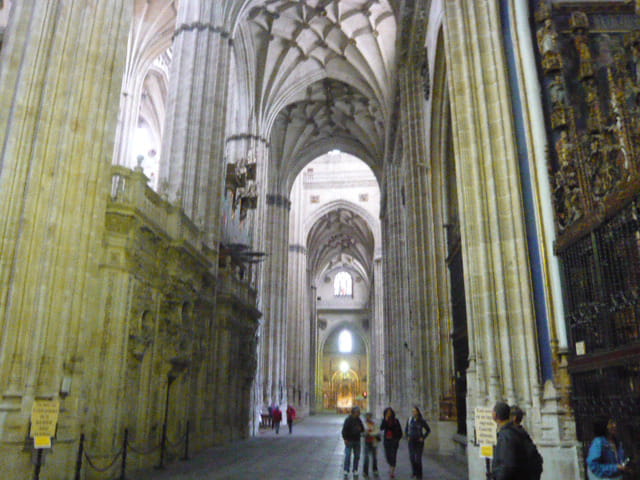 Cathédrale Salamanque