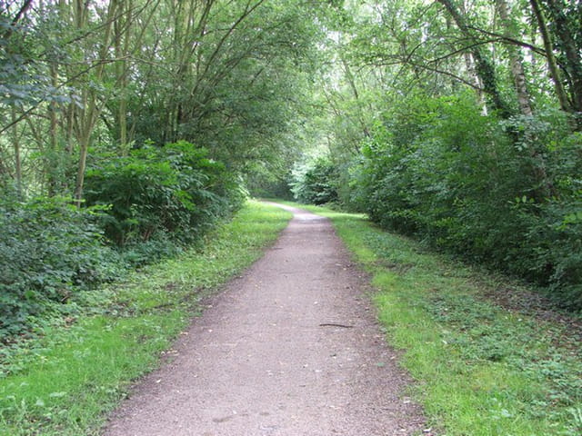 ce petit chemin