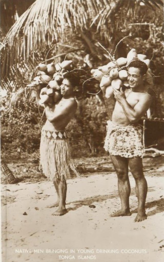 Chargés de noix de coco