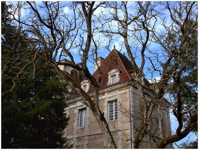 Chateau