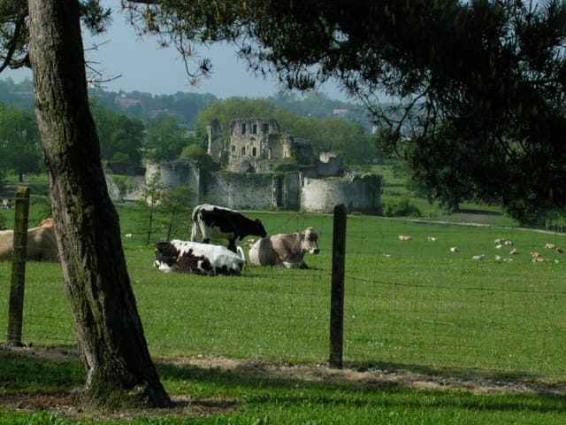 Château fongravey