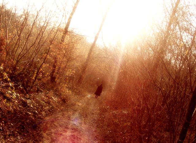 Chemin de Grigny