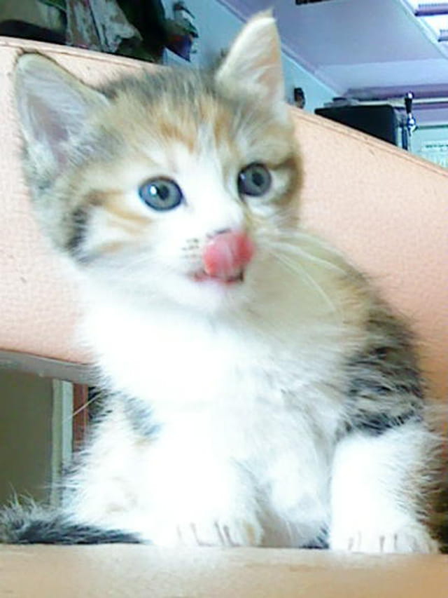 Coca fait la grimace
