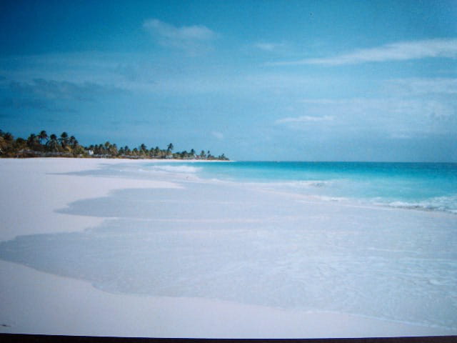 Cocoa point
