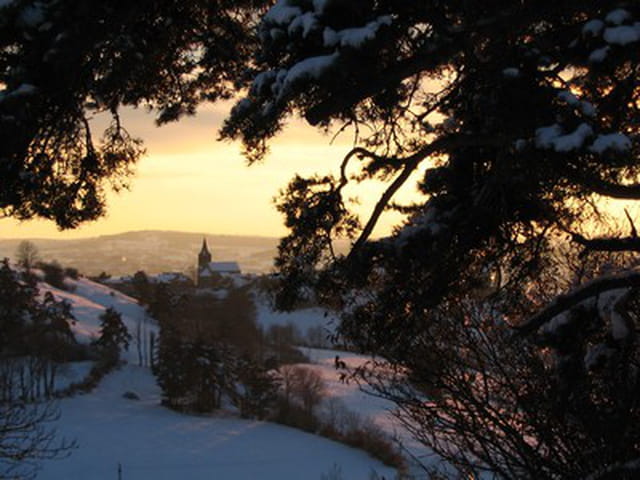 Coren sous la neige