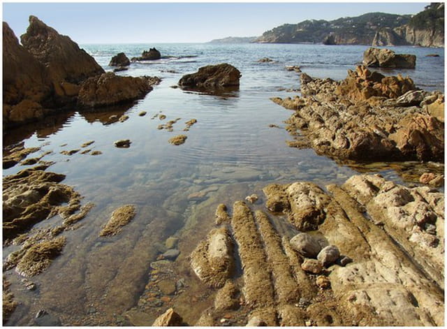 Côte bleue