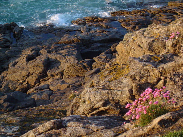 Couchant sur les rochers