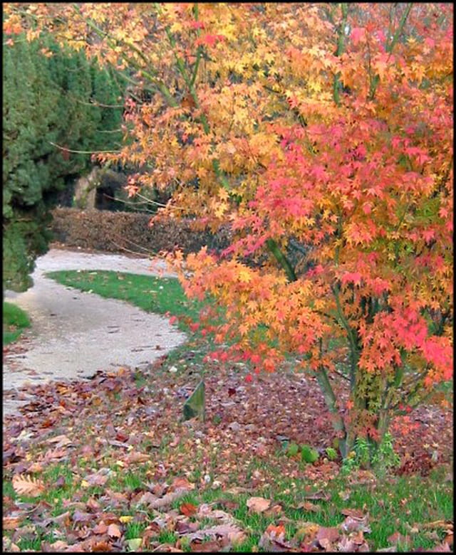 Couleur d'automne
