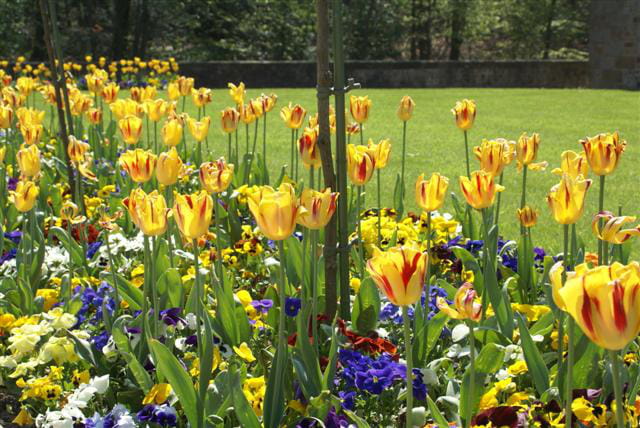 Couleur printemps