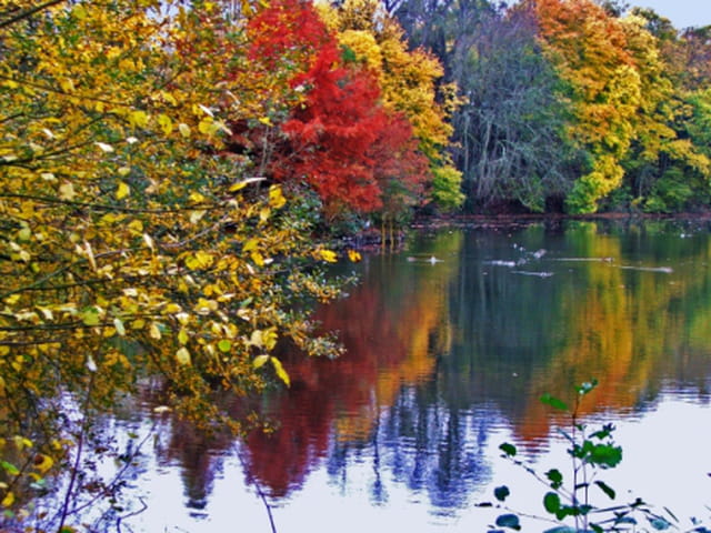Couleurs d'automne