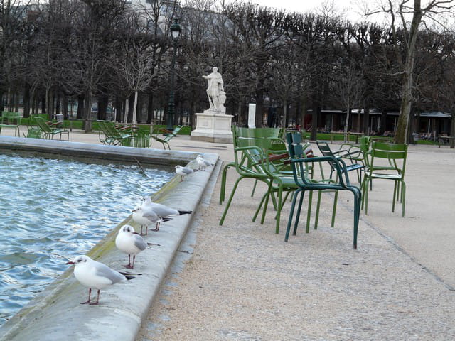 Coup de Vent sur un bout de Paris