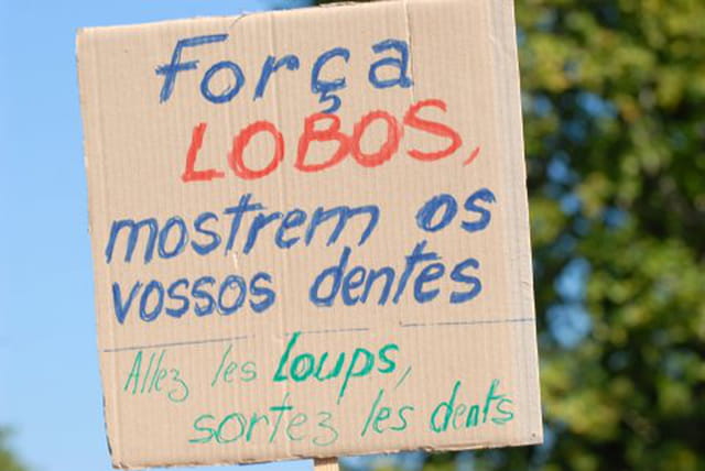 Coupe du monde de rugby LYON 2007