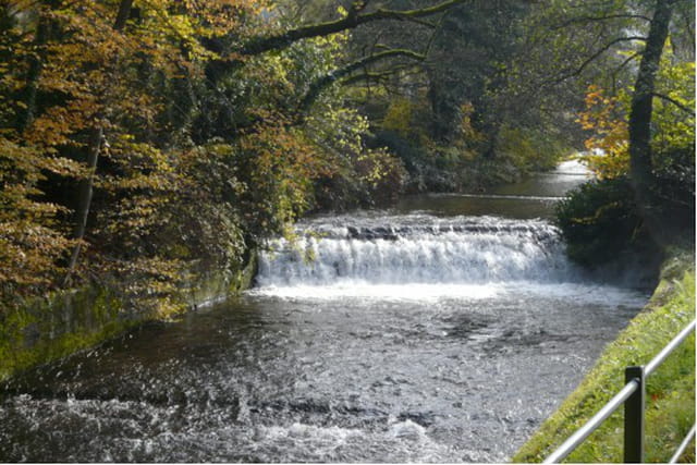 Cours d'eau à Baden- Baden