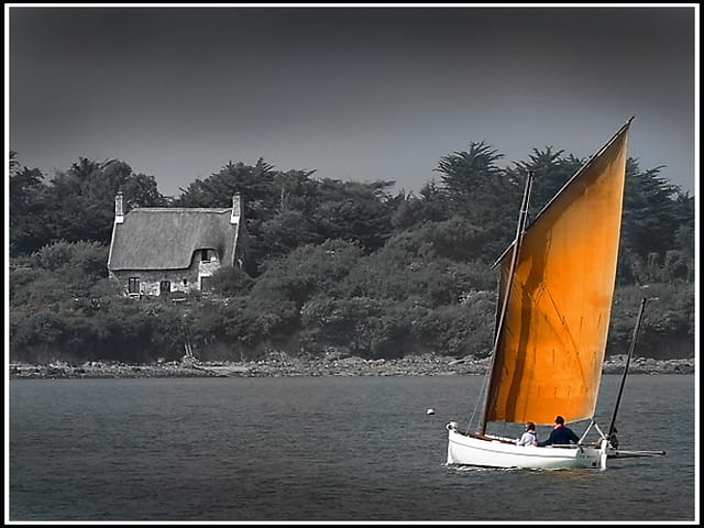 Croisière dans le golfe du Morbihan...