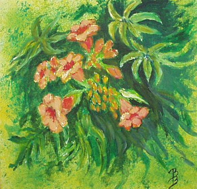Décor boîte