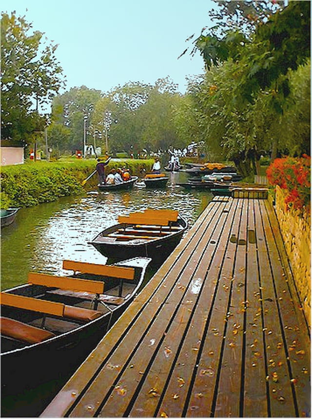 Départ pour le marais