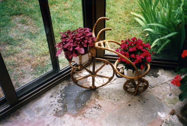 Des fleurs en vélo