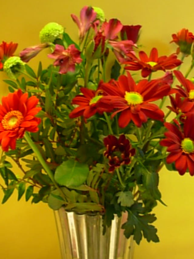 DES FLEURS TOUJOURS DES FLEURS