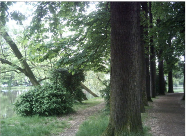 Deux chemins