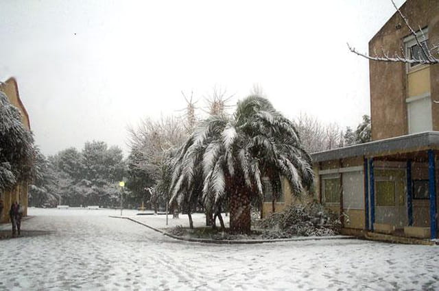 Elne sous la neige