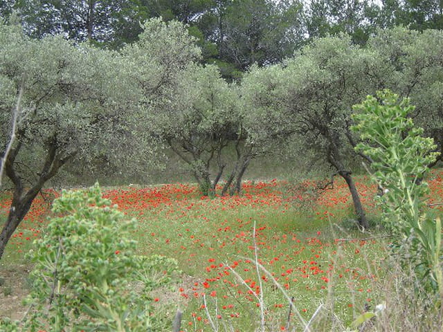 En rouge et vert