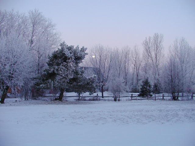 Encore l'hiver