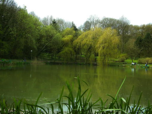 Étang de la claire fontaine